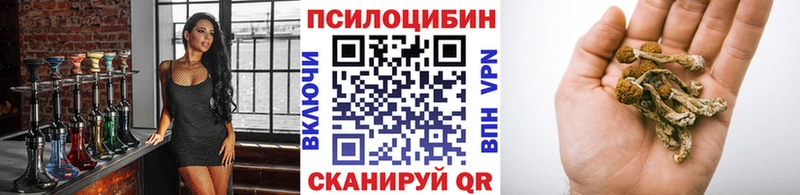 Псилоцибиновые грибы GOLDEN TEACHER  shop формула  Оленегорск 